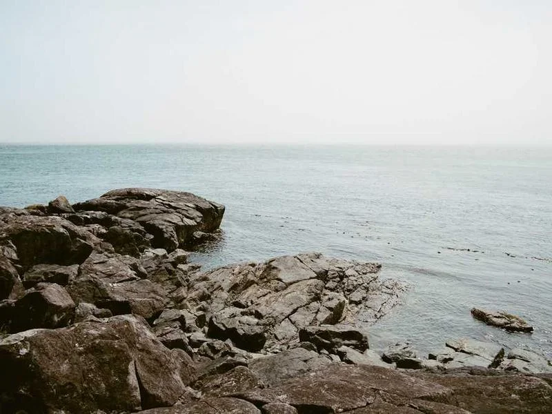 Image 0 de Studio à louer