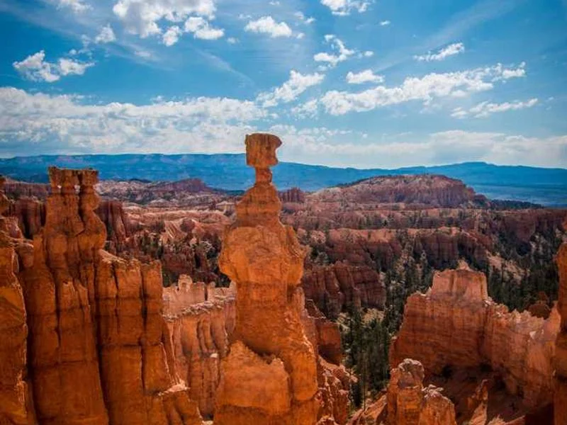 Image 0 de Recherche vélo