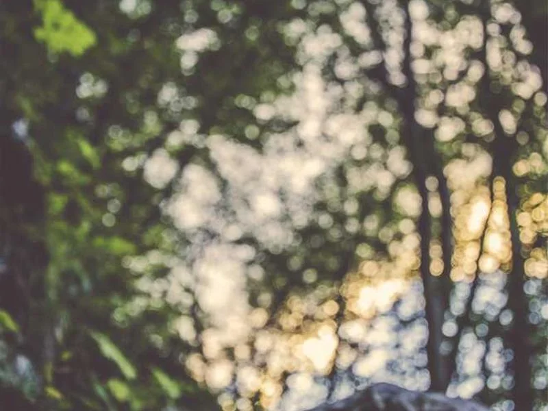 Image 0 de Kayak à vendre