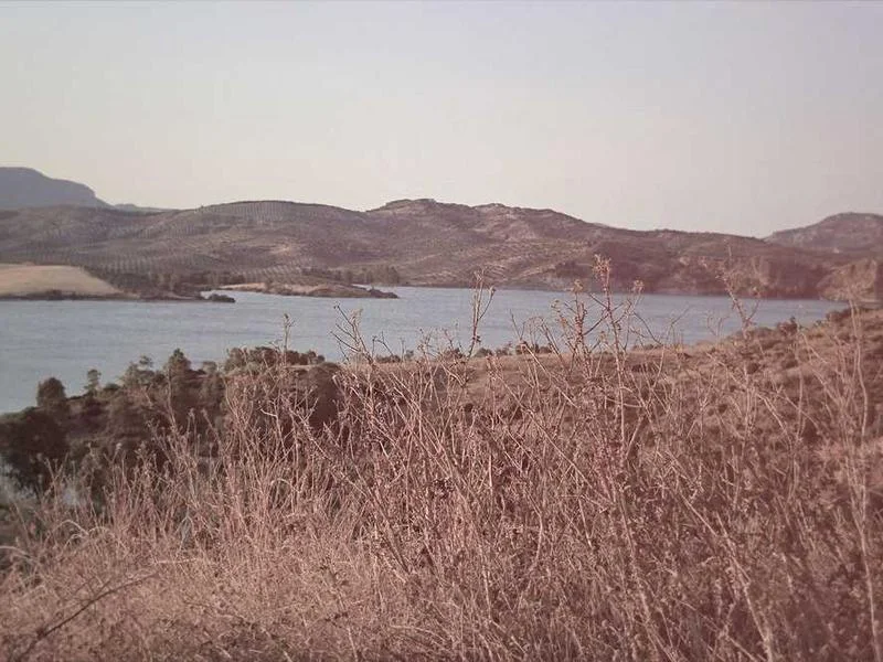 Image 0 de VTT à vendre