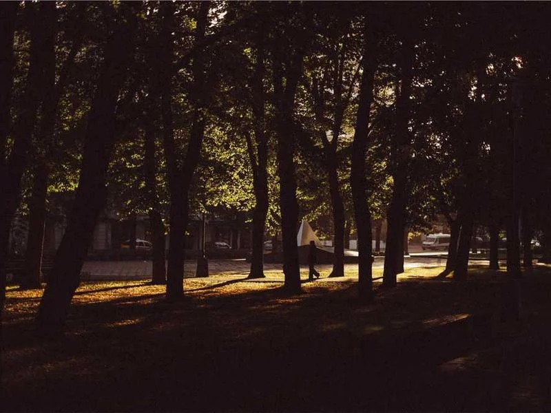 Image 0 de Lot divers à vendre