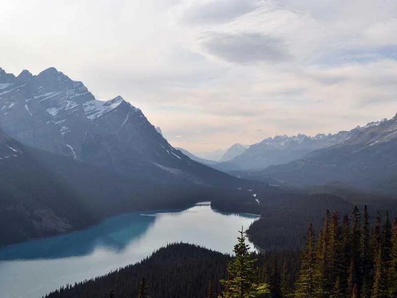 Image 0 de Objet divers à vendre