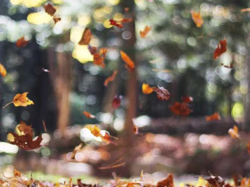 Image 0 de Donne objet divers