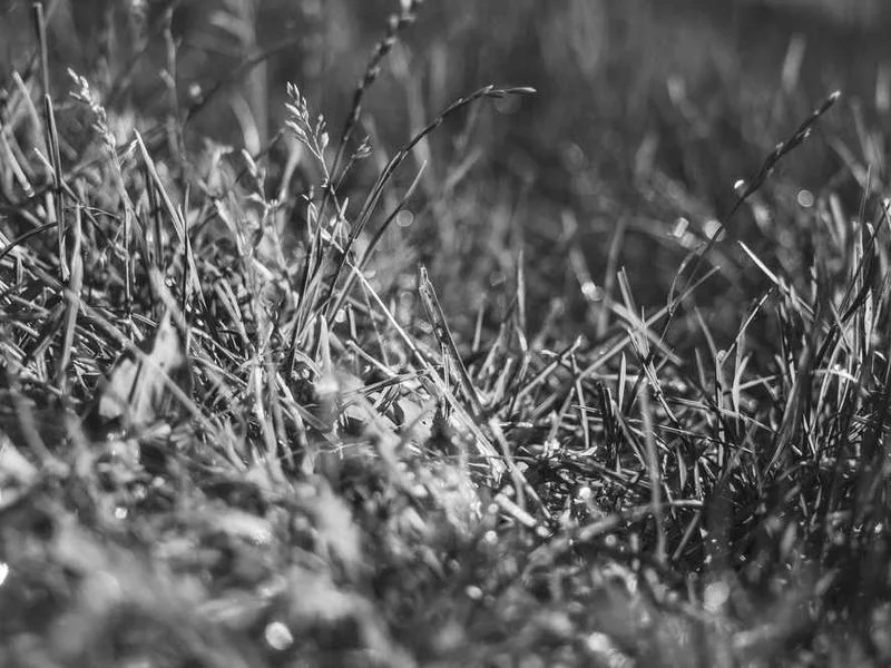 Image 0 de Lot divers à vendre