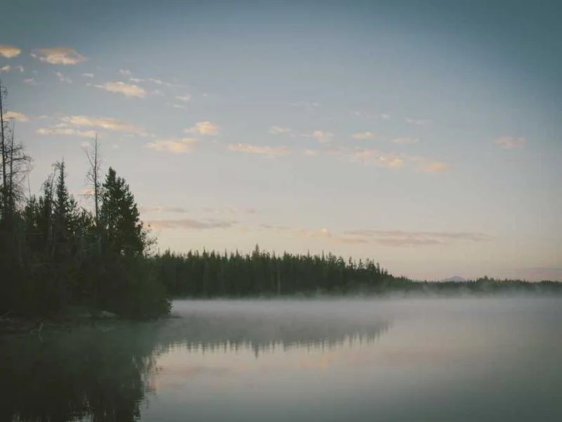 Image 0 de Téléphone à vendre