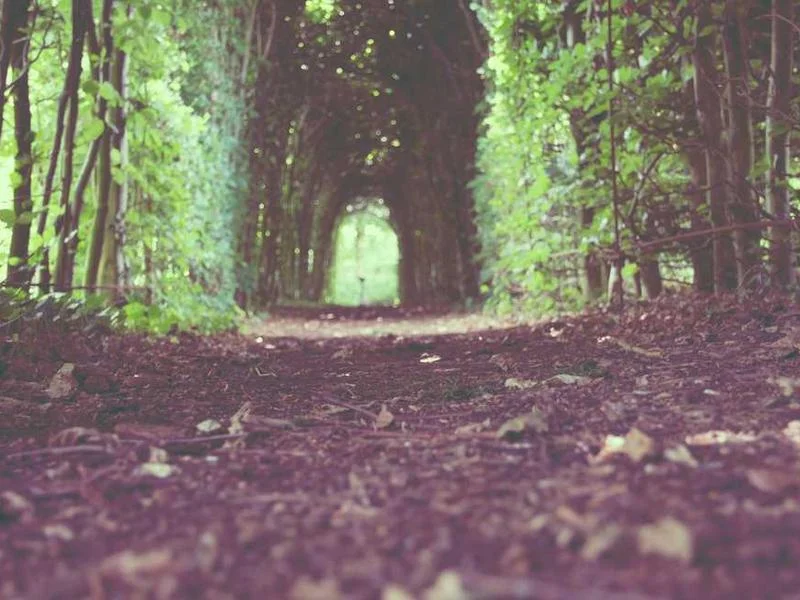 Image 0 de Table à vendre