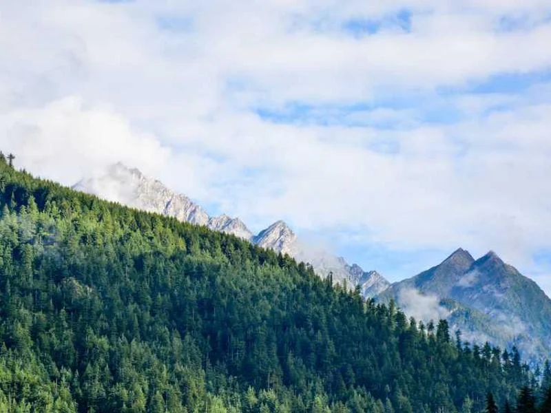 Image 0 de Planche de surf à vendre