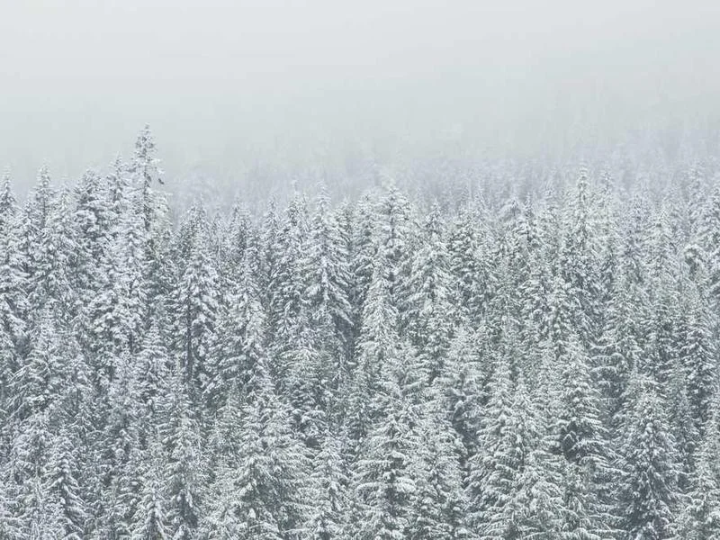 Image 0 de À vendre