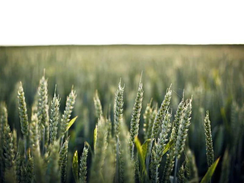 Image 0 de Commode à vendre