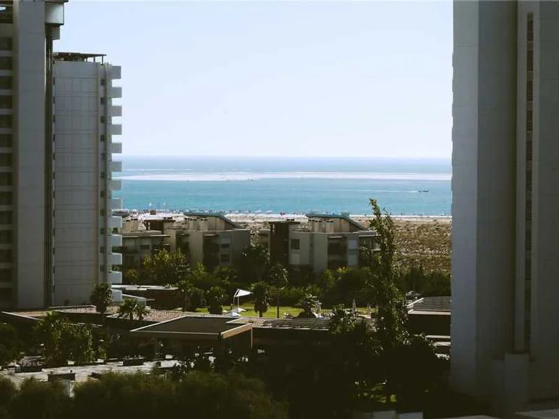 Image 0 de À vendre