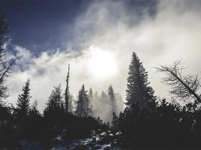 Image 0 de VTT à vendre