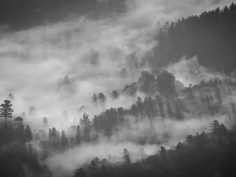 Image 0 de Planche de surf à vendre