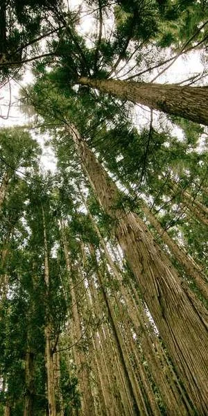 A similique explicabo