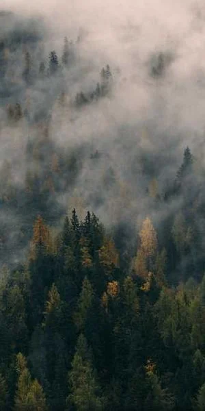 Rerum similique minima